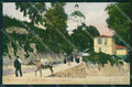 Imperia Sanremo Madonna della Costa Mulo Cartolina ZG2835 – fronte