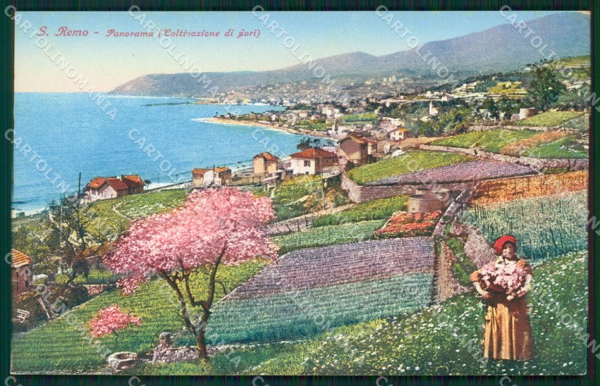 Imperia Sanremo Coltivazione di Fiori Cartolina ZG2847 – fronte