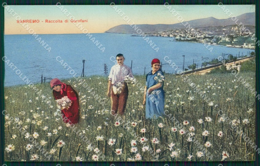 Imperia Sanremo Raccolta Fiori Cartolina ZG2979 – fronte