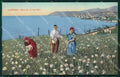 Imperia Sanremo Raccolta Fiori Cartolina ZG2979 – fronte