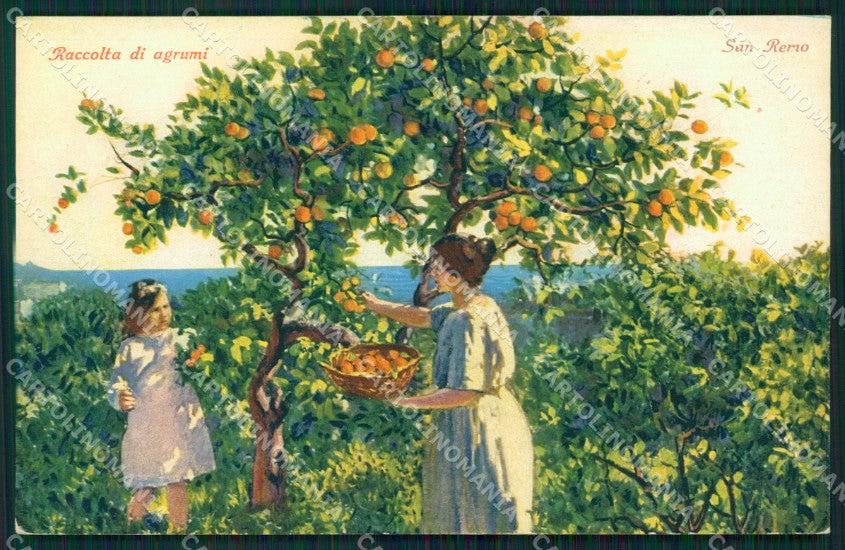 Imperia Sanremo Raccolta Agrumi Cartolina ZG2980 – fronte