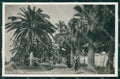 Imperia Sanremo Foto Cartolina ZG3126 – fronte
