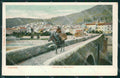 Imperia Taggia Asino Cartolina ZG3154 – fronte