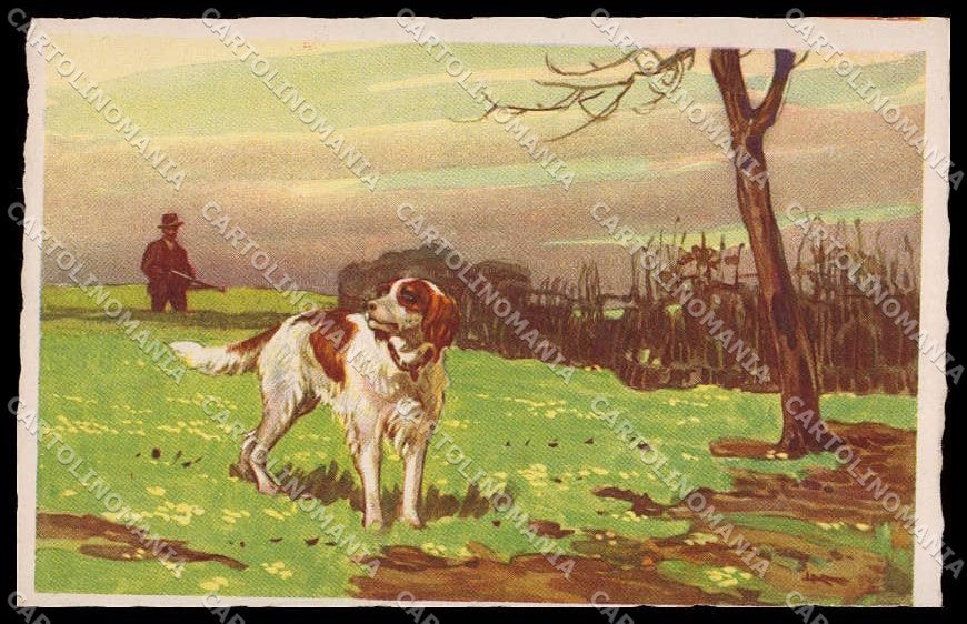 Artist Signed L. Metlicovitz Setter Cane Caccia Jagd Degami serie 778 pc ZG3561 – fronte