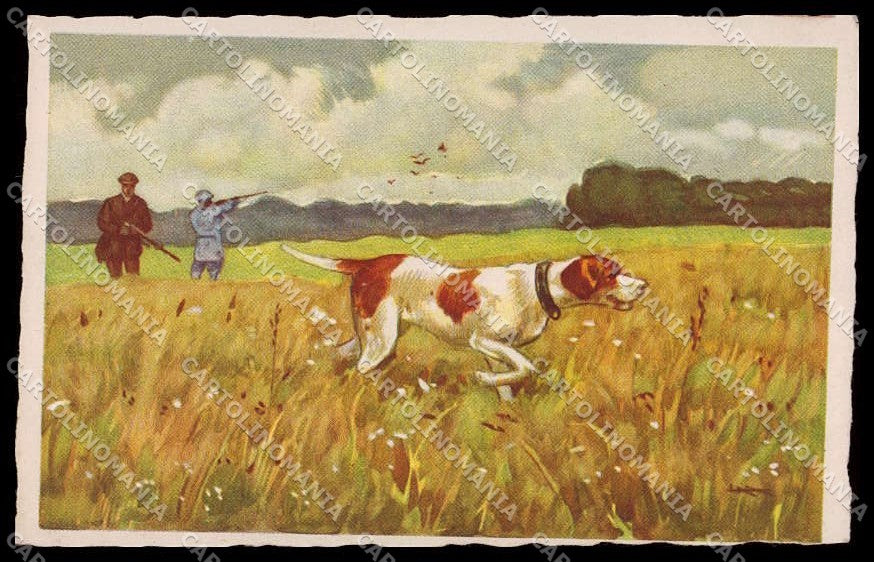 Artist Signed L. Metlicovitz Pointer Cane Caccia Jagd Degami serie 778 pc ZG3562 – fronte