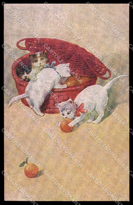 Artist Signed Sperlich Cat Gatto pc ZG4456 – fronte