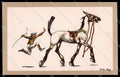 Artist Signed Wr. De May Horse Racing Sport Liqueur Clementine Suisse pc ZG4460 – fronte