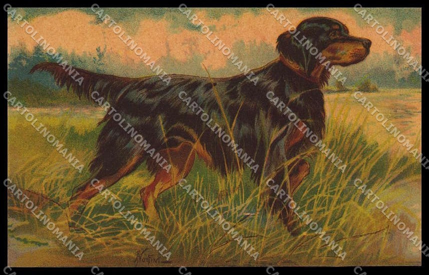 Artist Signed Norfini Hunting Dog Setter Velvet serie 1204 pc ZG4490 – fronte