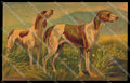 Artist Signed Norfini Hunting Dog Segugio Velvet serie 1205pc ZG4491 – fronte