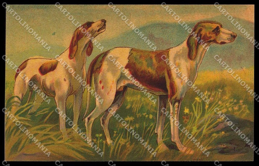 Artist Signed Norfini Hunting Dog Segugio Velvet serie 1205pc ZG4491 – fronte
