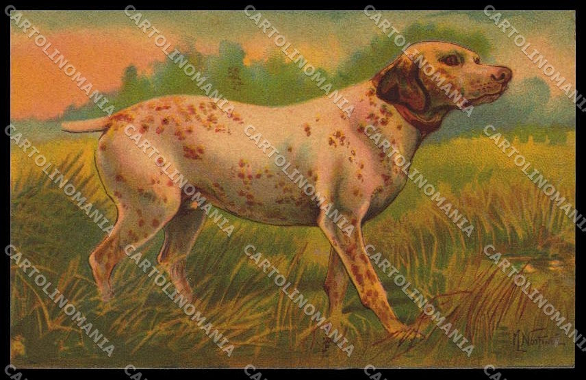 Artist Signed Norfini Hunting Dog Velvet serie 1206pc ZG4492 – fronte