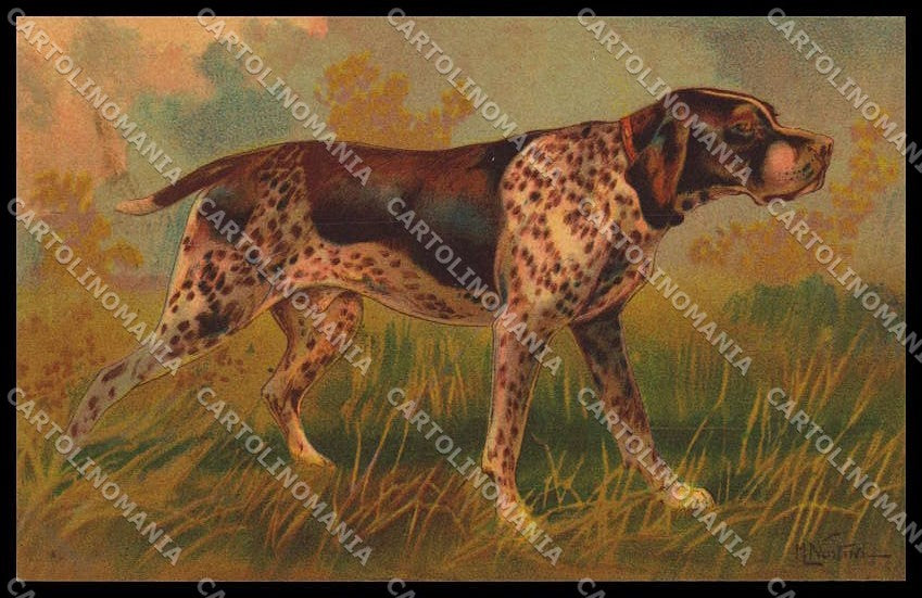 Artist Signed Norfini Hunting Dog Pointer Velvet serie 1208pc ZG4494 – fronte