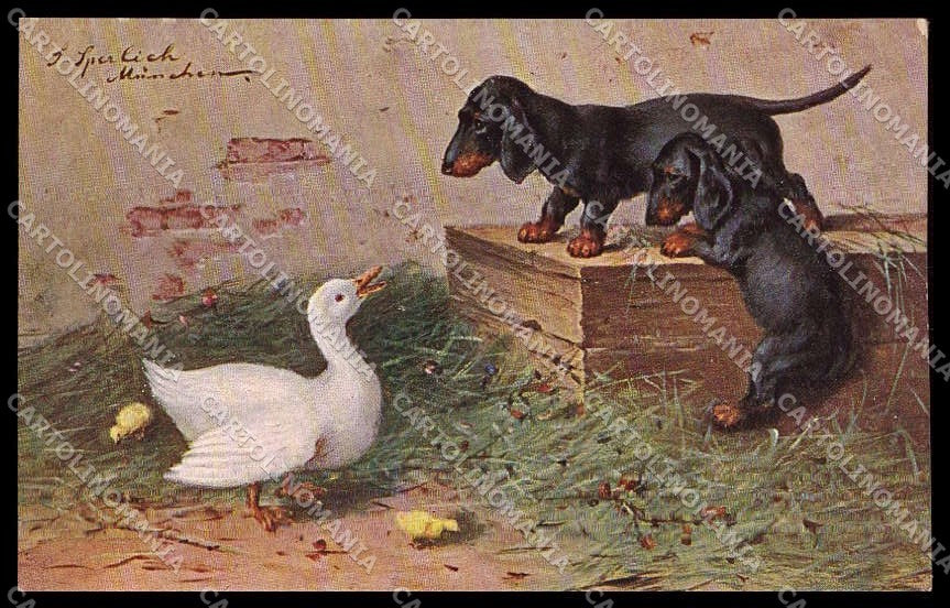 Artist Signed Sperlich Dachshund Dog Bassotto serie 131 pc ZG4495 – fronte