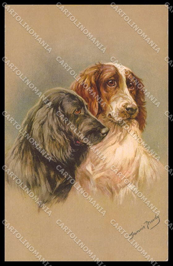 Artist Signed Fannie Moody Cocker Dog serie 105 pc ZG4502 – fronte