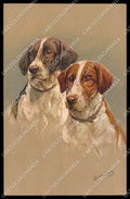 Artist Signed Fannie Moody Terrier Dog CORNER CREASED pc ZG4503 – fronte