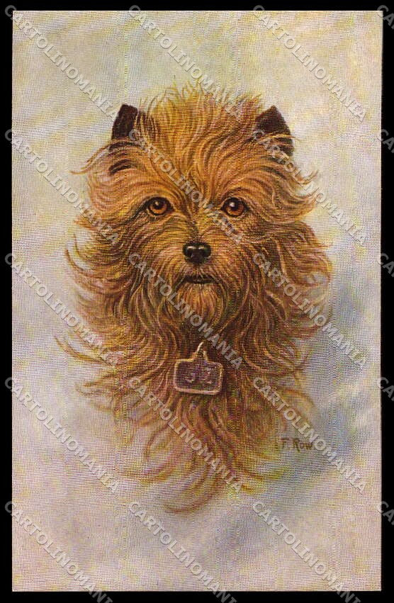 Artist Signed F. Row Griffon Dog serie 299-1623 pc ZG4506 – fronte