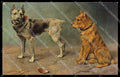 Artist Signed Griffon Dog serie 179-1110 pc ZG4508 – fronte
