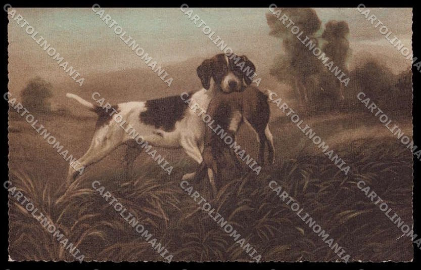 Artist Signed Norfini ? Hunting Dog Amag serie 0628 pc ZG4512 – fronte
