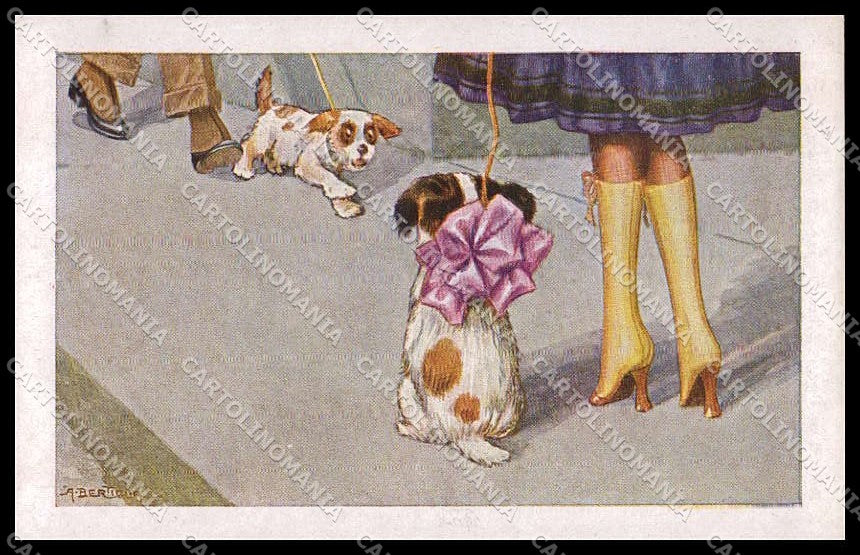 Artist Signed Bertiglia Lady Dog serie 2022-2 pc ZG4607 – fronte