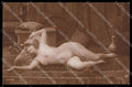 French Risque Nude Woman JA 9 Original RPPC postcard ZG5186 – fronte