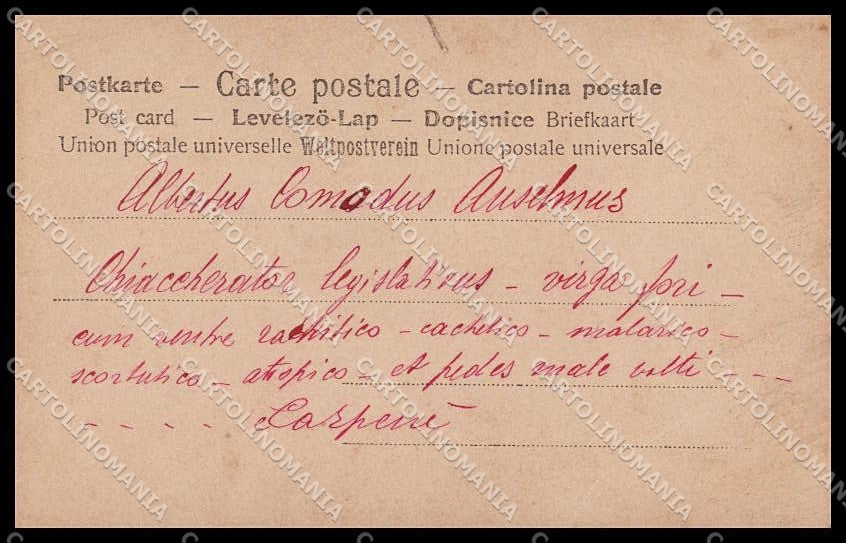 Risque Woman Lesbian Kissing Wien Serie 866-7 Original RPPC postcard ZG5463 – retro