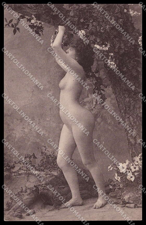 French Risque Nude Woman CCCC 341-10 Original postcard ZG5633 – fronte