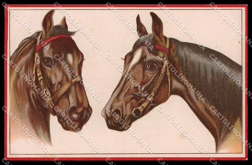 Illustratori Artist Signed Norfini Horse Pferd Cheval serie 713-3 pc ZG6034 – fronte
