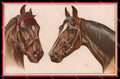 Illustratori Artist Signed Norfini Horse Pferd Cheval serie 713-3 pc ZG6034 – fronte