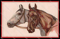 Illustratori Artist Signed Norfini Horse Pferd Cheval serie 713-4 pc ZG6035 – fronte