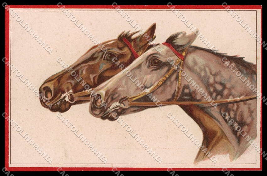 Illustratori Artist Signed Norfini Horse Pferd Cheval serie 713-1 pc ZG6036 – fronte