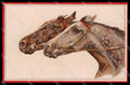 Illustratori Artist Signed Norfini Horse Pferd Cheval serie 713-1 pc ZG6036 – fronte