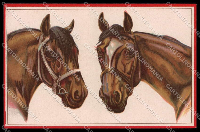 Illustratori Artist Signed Norfini Horse Pferd Cheval serie 713-5 pc ZG6037 – fronte