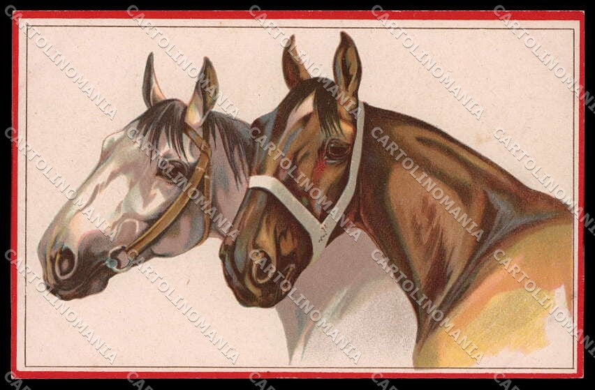 Illustratori Artist Signed Norfini Horse Pferd Cheval serie 713-6 pc ZG6038 – fronte