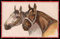 Illustratori Artist Signed Norfini Horse Pferd Cheval serie 713-6 pc ZG6038 – fronte
