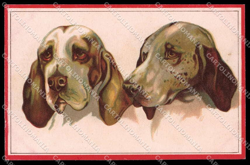 Illustratori Artist Signed Norfini Bracco Dog serie 712-1 pc ZG6039 – fronte