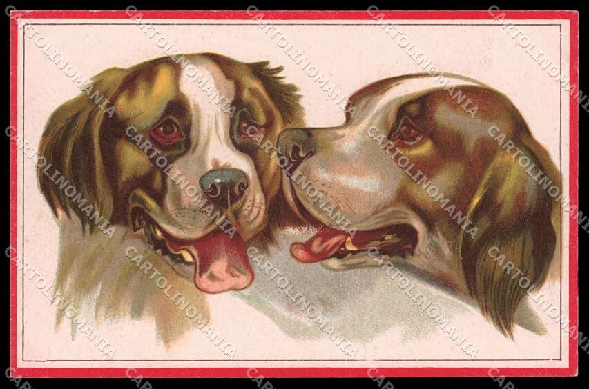 Illustratori Artist Signed Norfini Saint Bernard Dog serie 712-4 pc ZG6042 – fronte