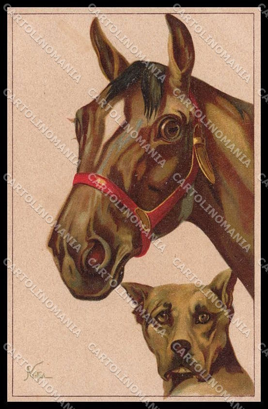 Illustratori Artist Signed Norfini Horse Dog serie 708-1 pc ZG6044 – fronte