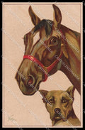 Illustratori Artist Signed Norfini Horse Dog serie 708-1 pc ZG6044 – fronte