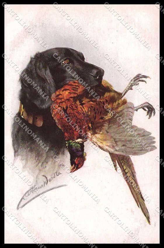 Artist Signed Arthur Wardle Hunting Dog Pheasant serie 42461 pc ZG6061 – fronte
