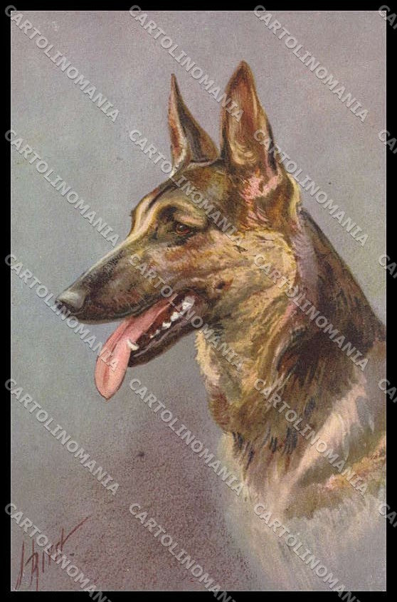 Illustratori Artist Signed I. Rivst Alsatian Wolfhound Dog serie 103 pc ZG6103 – fronte