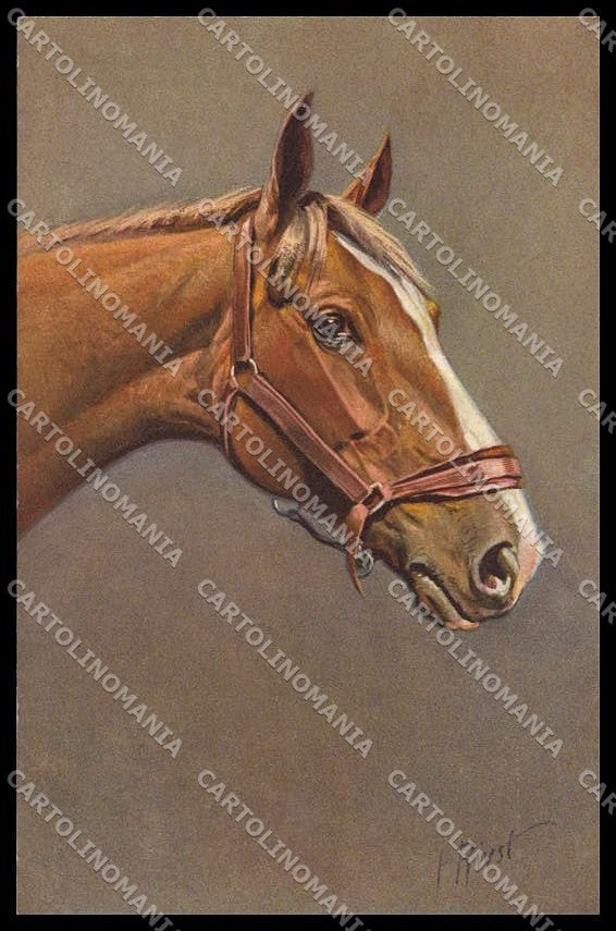 Illustratori Artist Signed I. Rivst Horse serie 151 CORNER CREASED pc ZG6105 – fronte