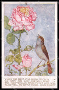 Illustratori Artist Signed M. Sowerby Fairy Bird Children pc ZG6120 – fronte