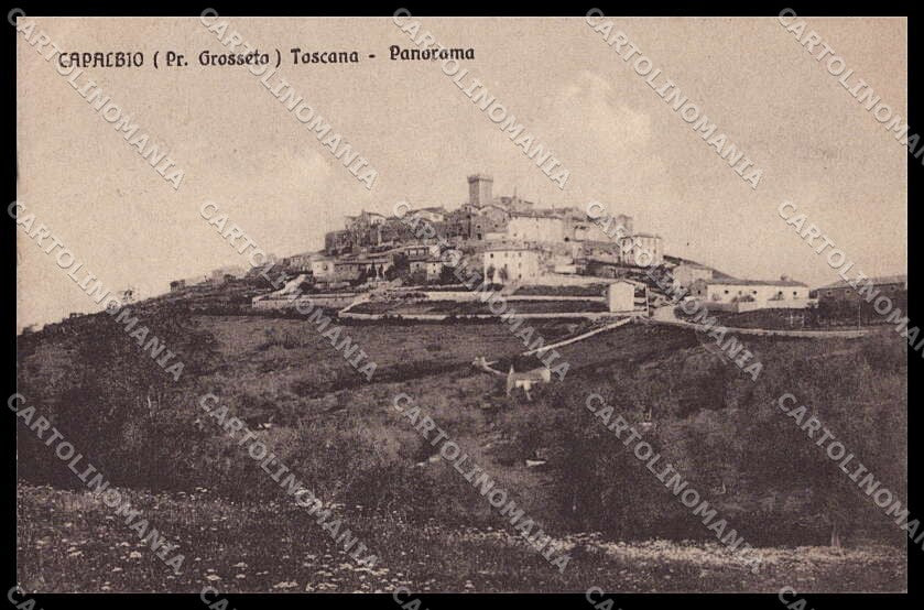 Grosseto Capalbio Panorama cartolina ZG6189 – fronte