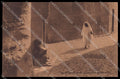 Fascismo Libia Tripolitania Cirenaica Tipi Arabi Ragozino 29601 cartolina ZG6217 – fronte
