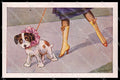 Illustratori Artist Signed Bertiglia Lady Dog serie 2022-6 cartolina ZG6403 – fronte