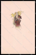 Illustratori Artist Signed Simeone Lady Horse serie 597M-4 cartolina ZG6987 – fronte