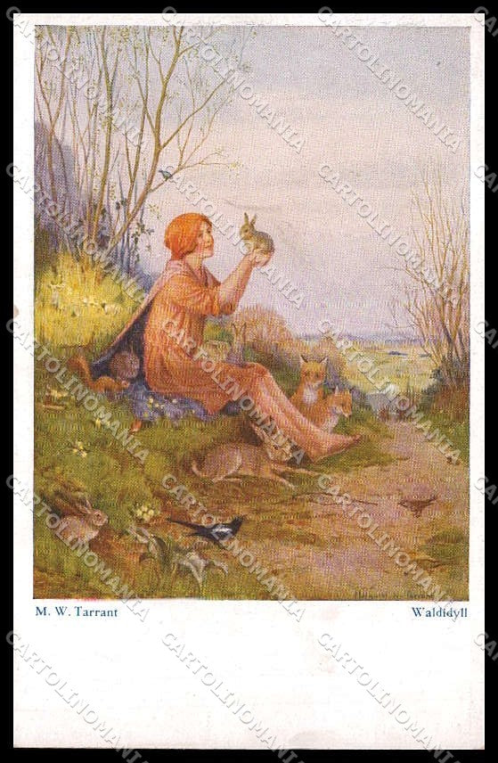 Illustratori Artist Signed Tarrant Girl Fox serie 3431 Primus TEAR pc ZG7455 – fronte