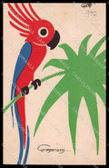 Illustratori Artist Signed Piattoli Parrot Pappagallo cartolina ZG8188 – fronte