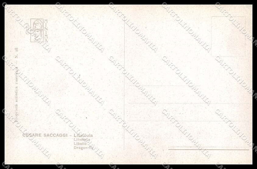 Illustratori Artist Signed Cesare Saccaggi Ars Minima Nude Lady Girl pc ZG8951 – retro