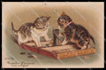 Illustratori Artist Signed Cat cartolina ZG9011 – fronte